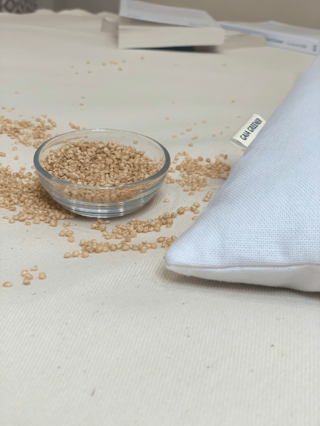Détail de millet biologiques françaises, garnissage fin et fluide comme du sable pour oreiller ergonomique