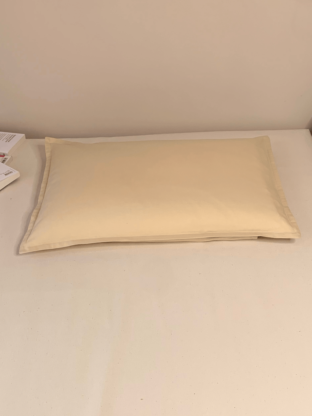 Oreiller millet BIO format standard 40x60 cm, compatible avec les taies d'oreiller classiques