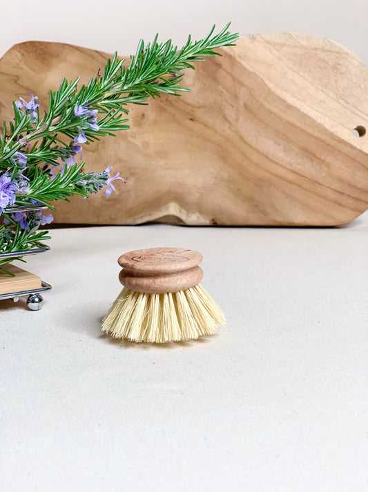 Recharge brosse vaisselle fibres d'Agave GAIA GREENER