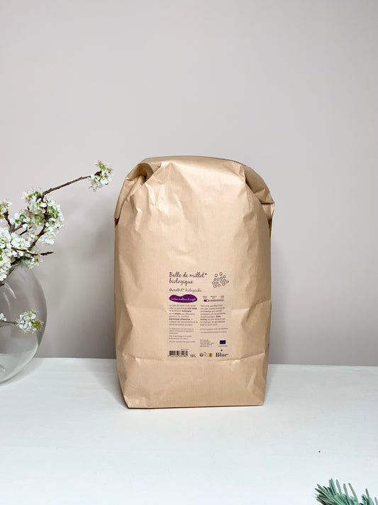 Recharge Balle de Millet Biologique pour Oreiller GAIA GREENER